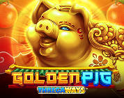 Golden Pig GMW